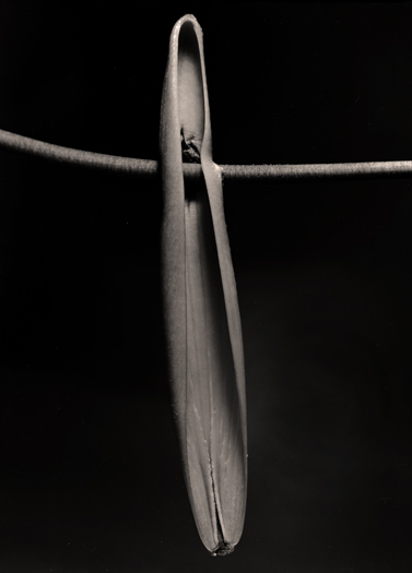 photo 13 of 14