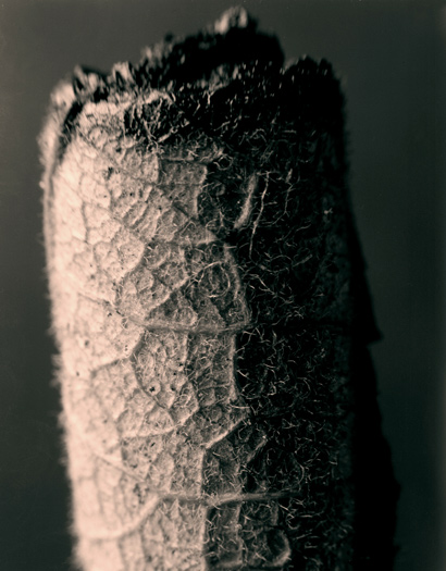 photo 7 of 25