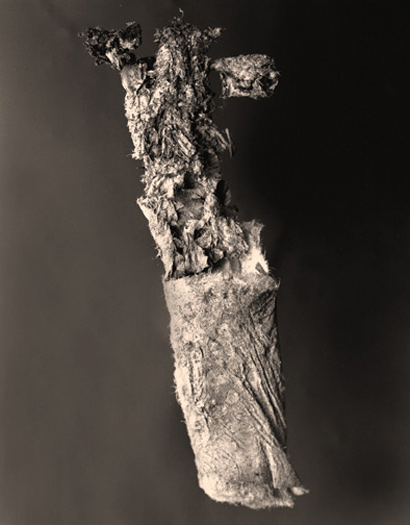 photo 6 of 25