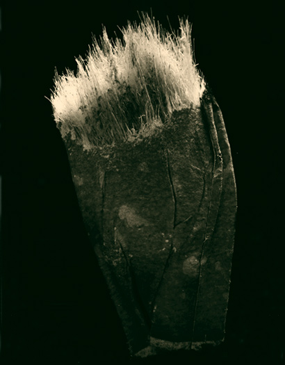 photo 10 of 25