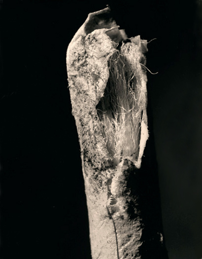 photo 17 of 25