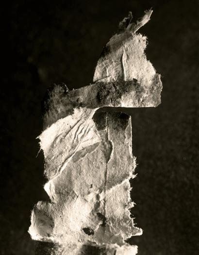 photo 21 of 25