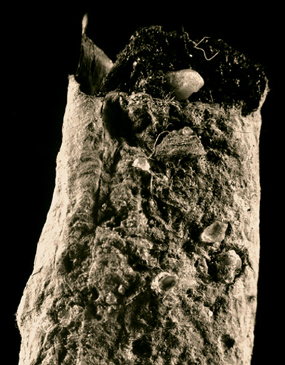 photo 22 of 25