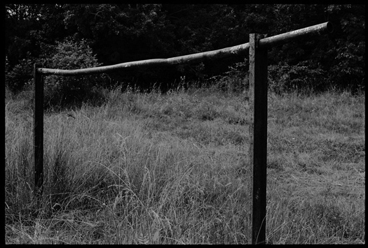 photo 17 of 23